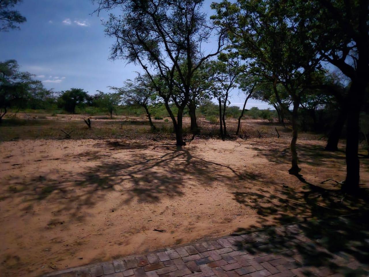 Kigeni Safari Lodge & Spa Vaalwater Dış mekan fotoğraf
