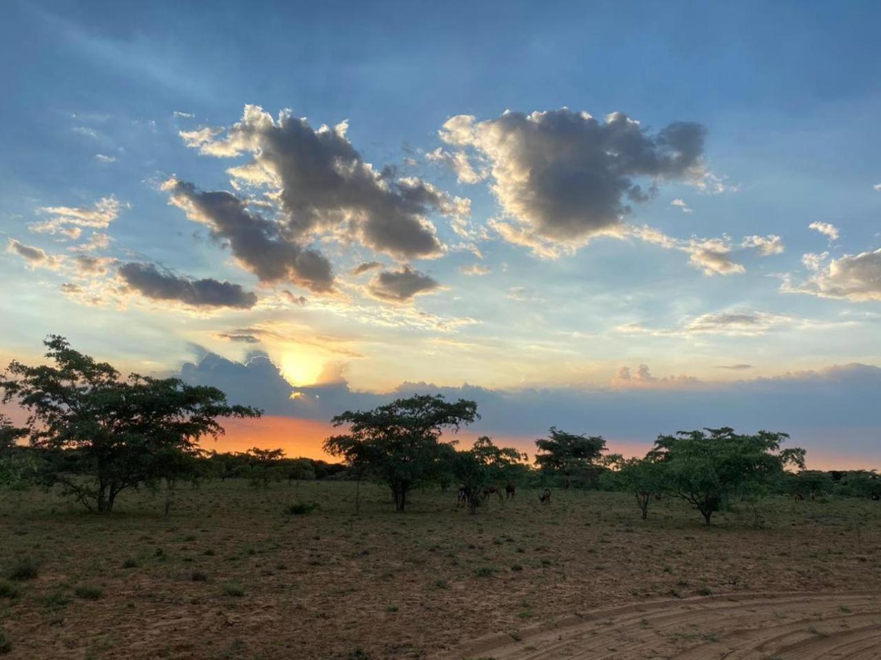 Kigeni Safari Lodge & Spa Vaalwater Dış mekan fotoğraf
