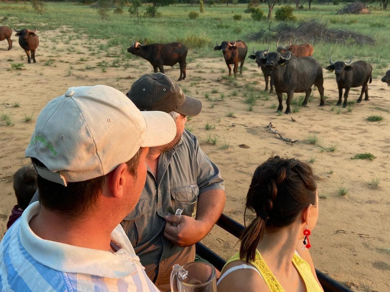 Kigeni Safari Lodge & Spa Vaalwater Dış mekan fotoğraf