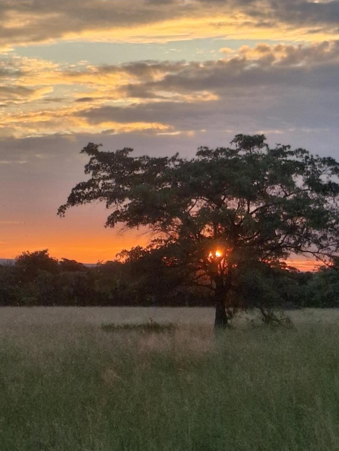 Kigeni Safari Lodge & Spa Vaalwater Dış mekan fotoğraf